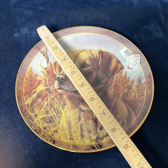 VTG Hoosier Portrait Hound Plate - Picture 2 of 3